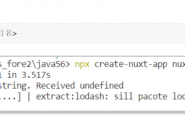 创建nuxt.js项目流程图解