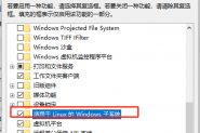 通过Windows Visual Studio远程调试WSL2中的.NET Core Linux应用程序的方法
