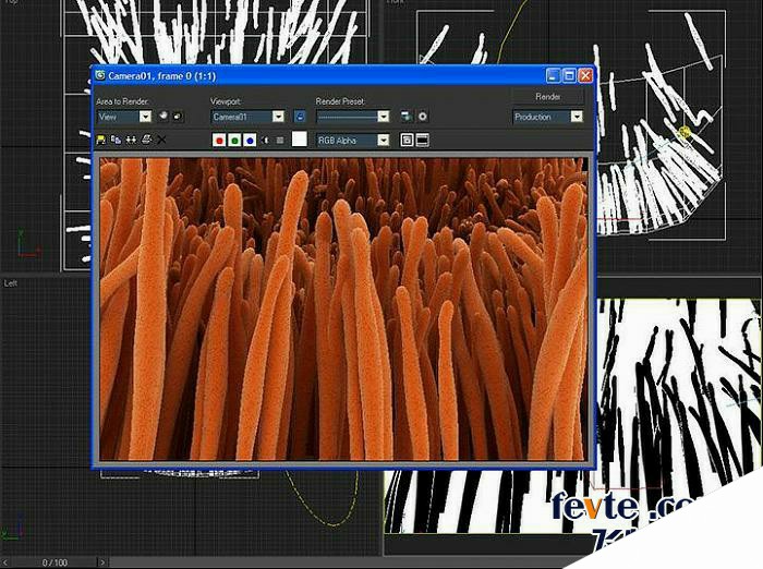 3dsmax毛发系统制作海葵 来客网 max渲染教程