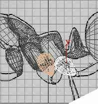 深入了解3DMAX建模技术--蚂蚁实例（下）
