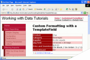 在ASP.NET 2.0中操作数据之十三：在DetailsView控件中使用TemplateField