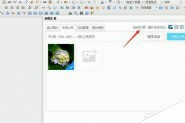 ASP.NET百度Ueditor编辑器实现上传图片添加水印效果