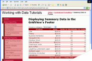 在ASP.NET 2.0中操作数据之十五：在GridView的页脚中显示统计信息