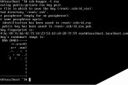 CentOS配置SSH单向无密码访问的方法