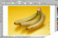 CorelDraw(CDR)利用网格工具模仿制作逼真香蕉实例教程详解