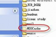 电脑中的Cache是什么文件?Cache的删除办法
