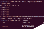 Docker搭建自己的本地镜像仓库的步骤