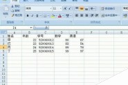 在Excel中怎么插入批注呢?