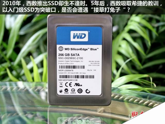 SSD真能淘汰HDD？硬盘厂商转型意欲为何