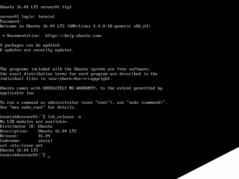 Ubuntu 16.04 Server Login Prompt