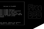 FreeBSD 8.0 安装教程图文详解