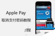 apple pay怎么设置免密支付 apple pay免密支付设置以及设置默认支付流程