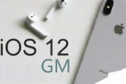iOS11如何升级至iOS12GM版？iOS11.4.1升级iOS12GM的方法