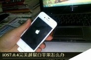 iOS7.0.4完美越狱白苹果怎么办 iPhone5S越狱白苹果修复方法