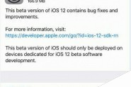苹果iOS 12开发者预览版beta 9更新发布(附固件下载)