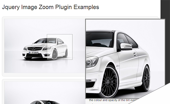 Image-Zoom-Plugin