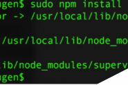 Node.js使用supervisor进行开发中调试的方法