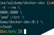 基于 Docker 开发 NodeJS 应用