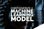 创建一个容器化的机器学习模型