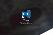 vscode如何关闭自动更新提示?visual studio code禁止自动更新的方法介绍