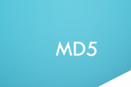 notepad++怎么生成MD5数据? notepad生成文本的MD5值的方法