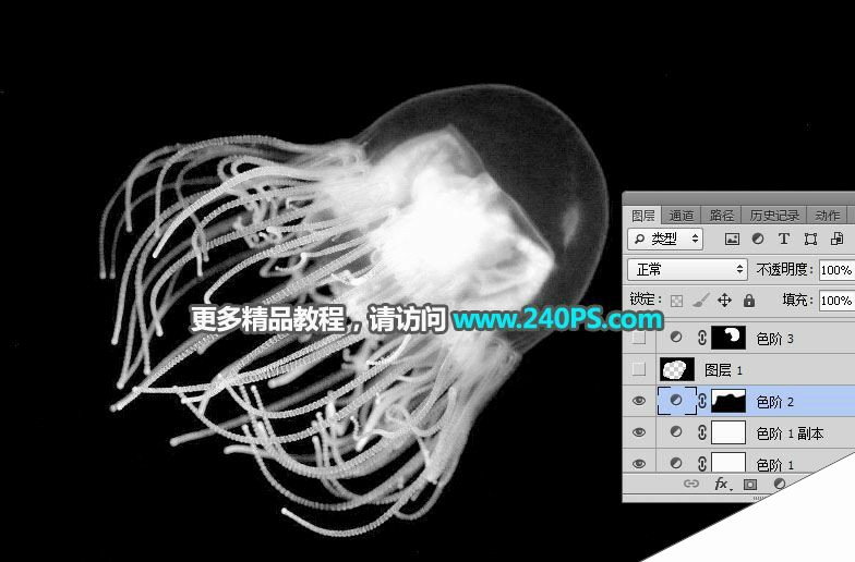 ps利用通道工具快速抠出透明的水母图片教程