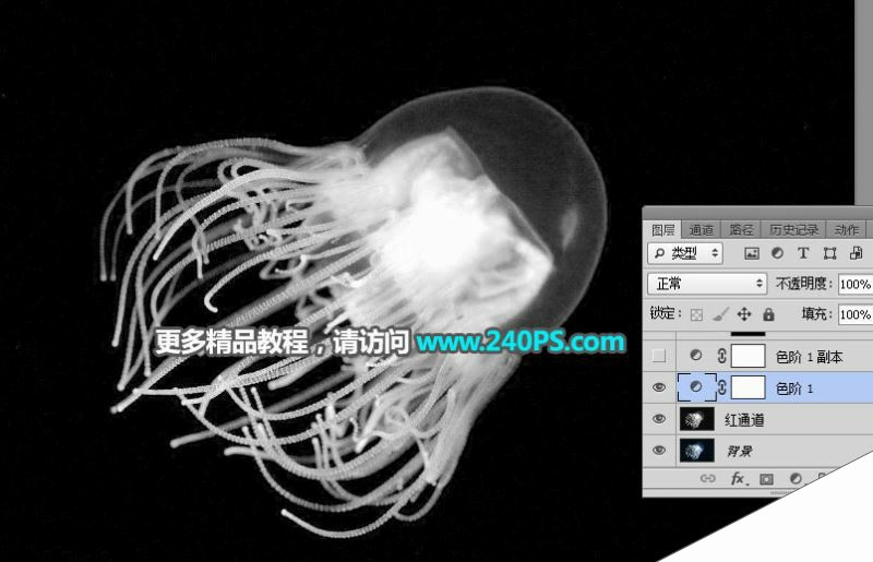 ps利用通道工具快速抠出透明的水母图片教程