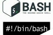 关于bash函数你可能不知道的一些事情（译）