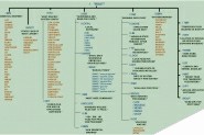 Linux文件目录结构(小白版)