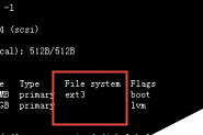 Linux查看分区文件系统类型的方法总结