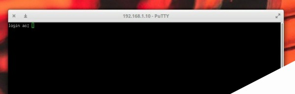 图 2：使用 PuTTY 登录到远程服务器