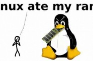 Linux系统真的很吃内存？