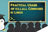 Linux下使用killall命令终止进程的8大用法