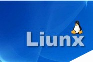 Linux 绝对霸主，Linux 开发者未来可期