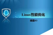 详解Linux 磁盘I/O优化（Oracle RAC）