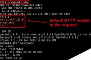 在Linux系统下使用curl自定义HTTP头的方法