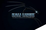 黑客专用操作系统Kali Linux 2019.1版发布
