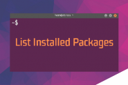 如何列出 Ubuntu 和 Debian 上已安装的软件包