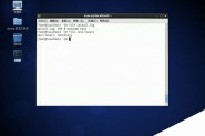 Linux系统怎样识别没有扩展名的文件类型？ 用file命令解决