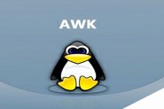 Linux文本分析命令awk的妙用