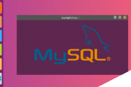 怎样在Ubuntu Linux上安装MySQL