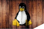 Linux桌面年是否终于到来了？