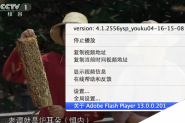苹果电脑如何查看Mac版Flash Player的版本号