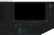 premiere视频怎么制作抽帧效果?