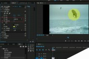 premiere怎么给视频中的对象添加圆形效果?