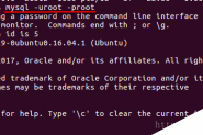 Ubuntu下MySQL安装及配置远程登录教程