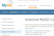 Mysql 8.0安装及重置密码问题