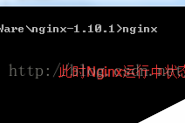 Windows安装nginx1.10.1反向代理访问IIS网站