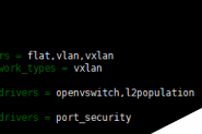 openstack使用openvswitch实现vxlan的方法