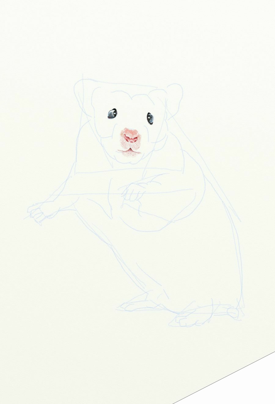 painter绘制一只可爱的老鼠 来客网 painter教程